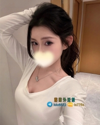 貓咪：163/C/47/26歲  #臺中6000